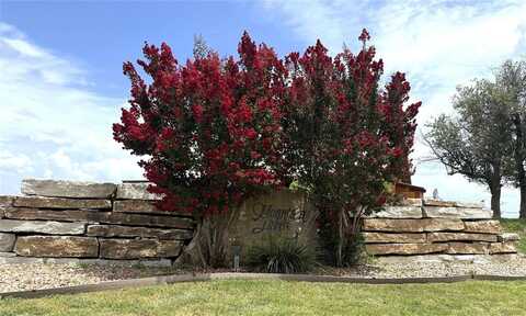 1170 Lighthouse, Bluff Dale, TX 76433