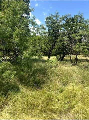 Lot 591 S Lakeside Drive, May, TX 76857