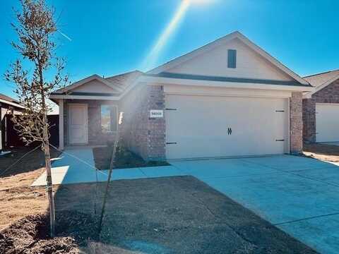 14008 Birch Farm Drive, Pilot Point, TX 76258