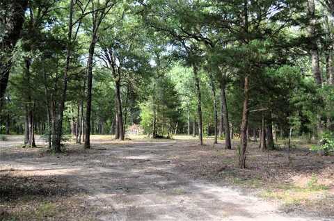 0 County Road 2404, Tool, TX 75143