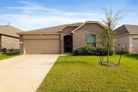 1231 Sequoia Lane, Princeton, TX 75407