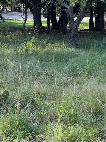 Lot 653 S Lakeside Drive, May, TX 76857