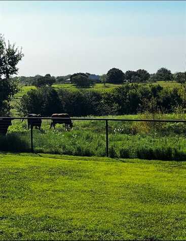 Tbd Zmolek Road, Ennis, TX 75119