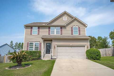 226 Pico Place, Lexington, SC 29073