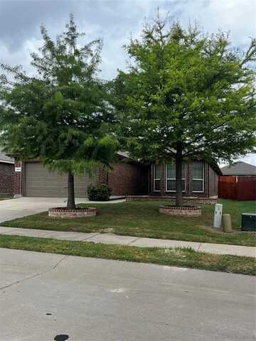 2100 Spruce Street, Anna, TX 75409