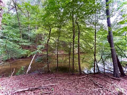 Bridgeview Court unit: 119, Norwood, NC 28128