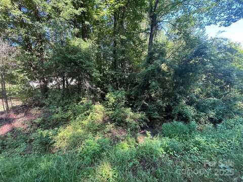 Webb Loop Road, Mount Gilead, NC 27306