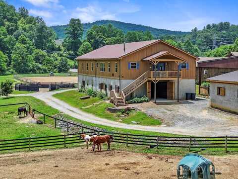 442 Blantyre Church Road, Horse Shoe, NC 28742