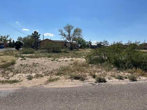 200 W Sherer, Fort Stockton, TX 79735