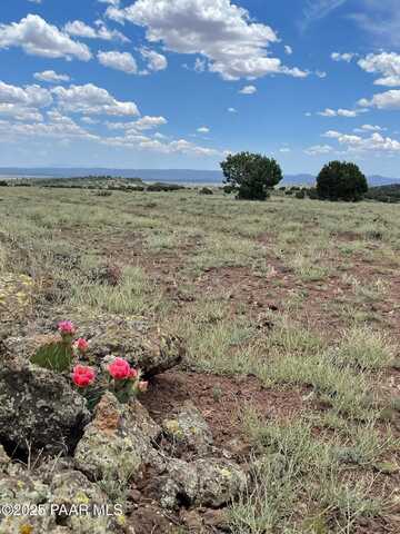 30222102c W Dozer Avenue, Ash Fork, AZ 86320