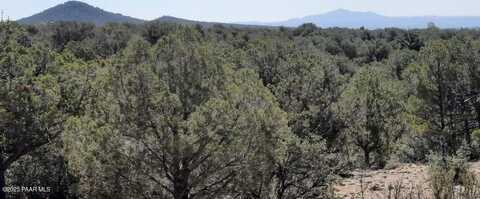 166 W2 Westwood Ranch, Williams, AZ 86046