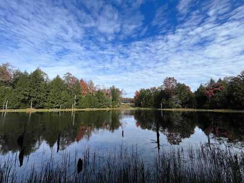 8114 Chautauqua Rd, Stockton, NY 14784