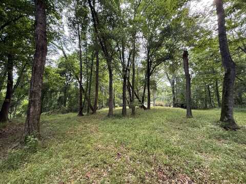 2410 Rodney Rd, Lorman, MS 39096