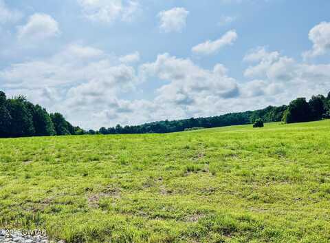 00 Willoughby Road, Beech Bluff, TN 38313