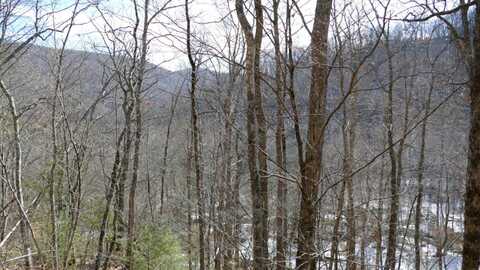 0 Upper Back Creek Road, Monterey, VA 24465