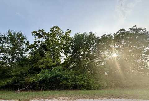 550 County Road 268, Newville, AL 36353