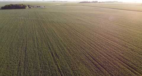 TBD 240th St, Brewster, MN 56119