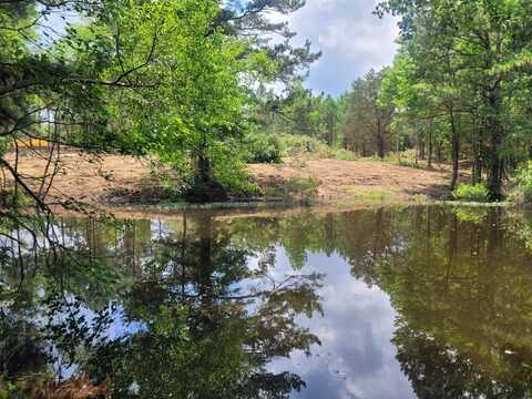 484 Naples Ln., Arab, AL 35016