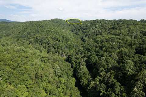 0 Seng Garden Rd, Tellico Plains, TN 37385