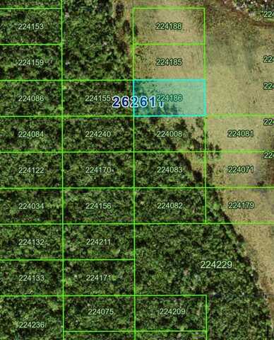 No Name Rd, Polk City, FL 33868