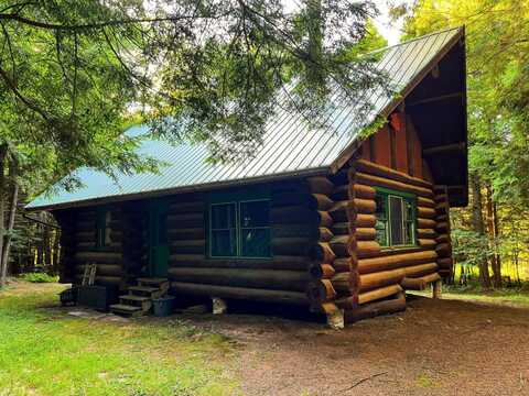 00 White Pine Lane/pvt, Pitcairn, NY 13648