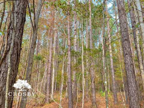 0 Possum Point Road, Townsend, GA 31331