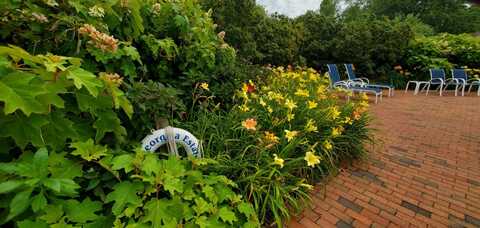 44 Huckleberry Lane, East Hampton, NY 11937