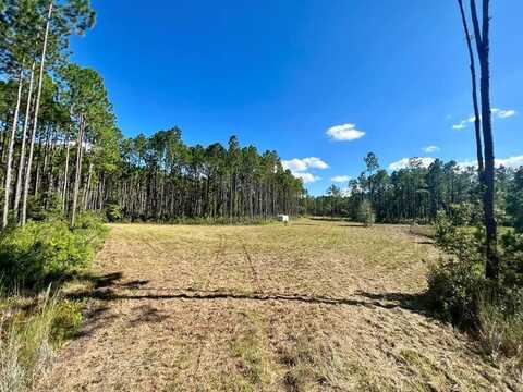 Tract 60 150th St, Chiefland, FL 32626