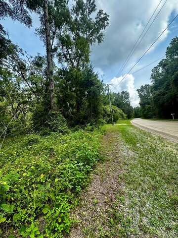 642nd St, Old Town, FL 32680
