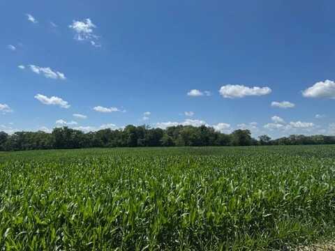 N SD Hwy 95, Smithfield, IL 61477