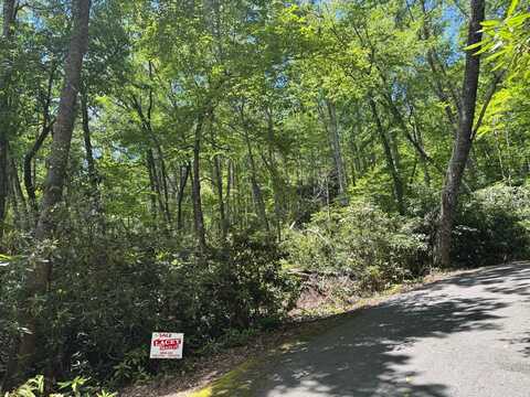TBD Parks Mountain Drive- 1, Jonas Ridge, NC 28641