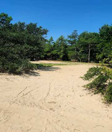 2356 Carova Rd, Carolla, NC 27927