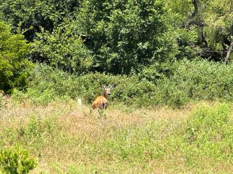16056 Watertower Rd, Binger, OK 73009