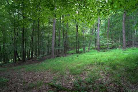 0 Bortz Rd, Lake Lynn, PA 15451