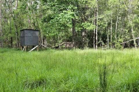 Hwy 442, Tickfaw, LA 70466