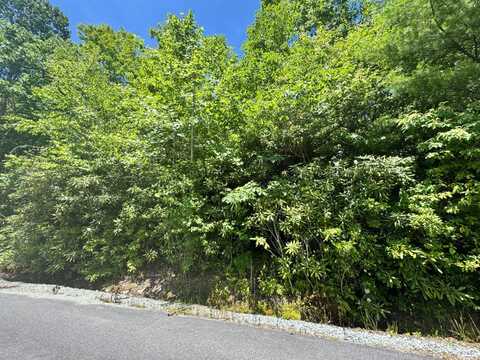 TBD Parks Mountain Drive- 2, Jonas Ridge, NC 28657