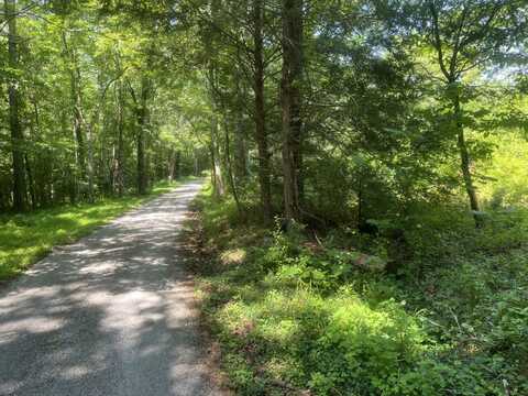 0 Blizzard Mines Road, Harriman, TN 37748
