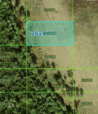 No Name Rd, Polk City, FL 33868