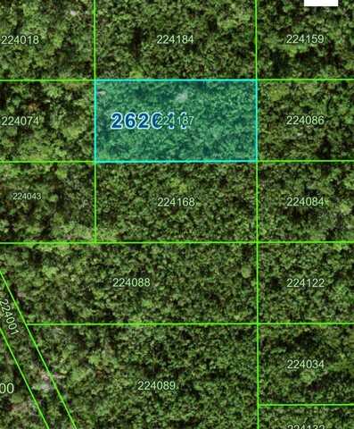 No Name Rd, Polk City, FL 33868