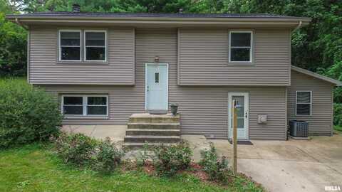 18196 RIVER Road, Danvers, IL 61732