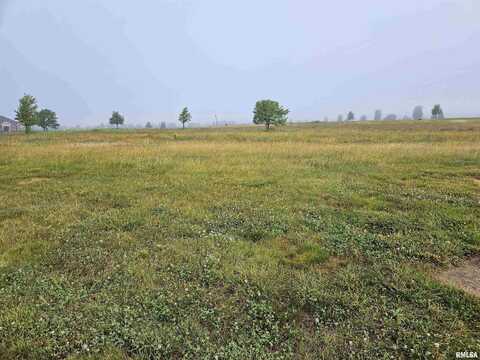 913 Ring Drive, Metamora, IL 61548