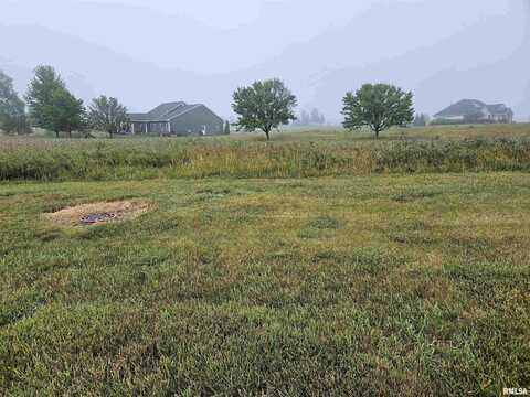 917 Ring Drive, Metamora, IL 61548