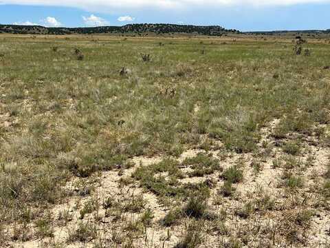 Outback Ranch lot: 4, Model, CO 81059