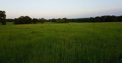 71 Private Rd 5209, ATHENS, TX 75751