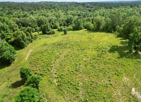 0 County Road 3339, Troy, AL 36010