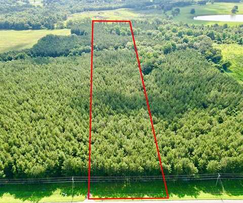 10 US HWY 231 S, Brundidge, AL 36010