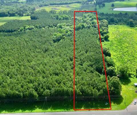 12 US HWY 231 S, Brundidge, AL 36010