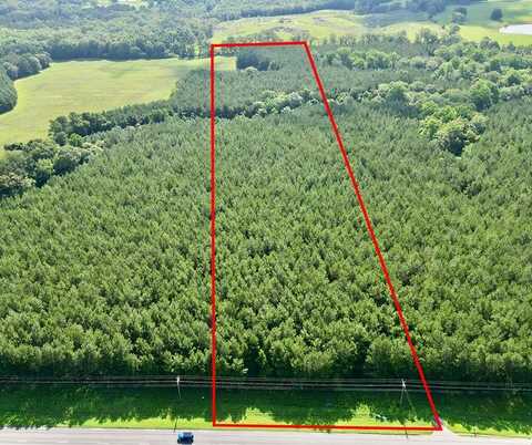 9 US HWY 231 S, Brundidge, AL 36010