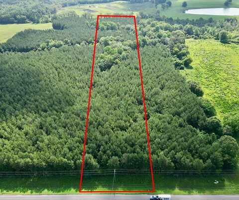 11 US HWY 231 S, Brundidge, AL 36010