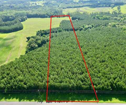 8 US HWY 231 S, Brundidge, AL 36010